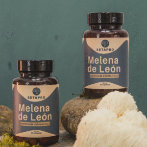 SetaPro - Melena de León. Combo x 2
