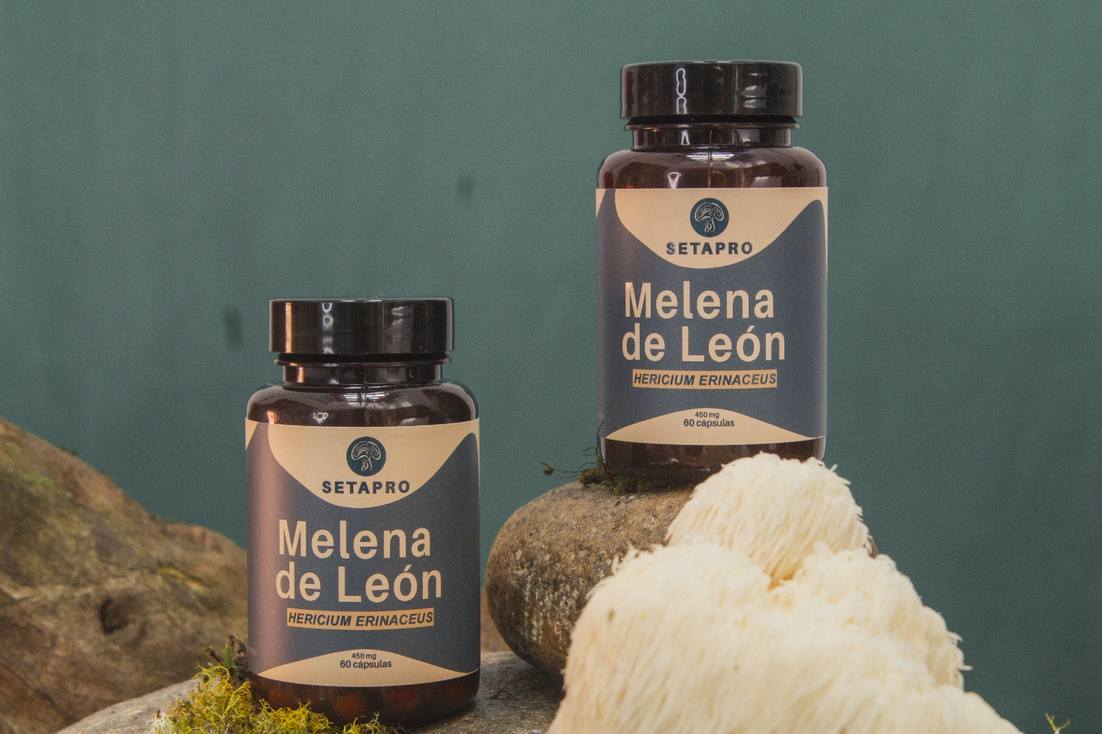 SetaPro - Melena de León. Combo x 2